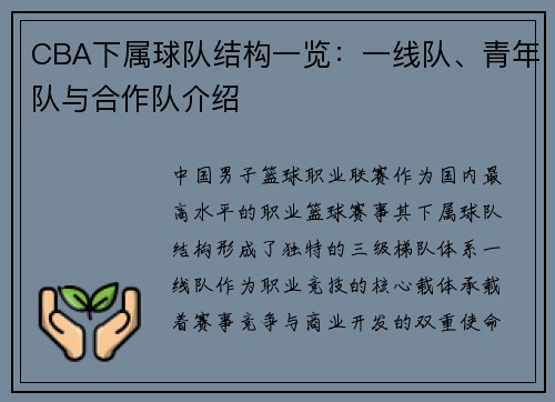 CBA下属球队结构一览：一线队、青年队与合作队介绍